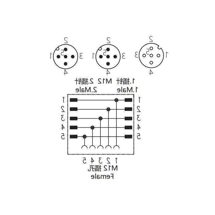 M12 5Pin female /2M12 5Pin male, Tee, 644456